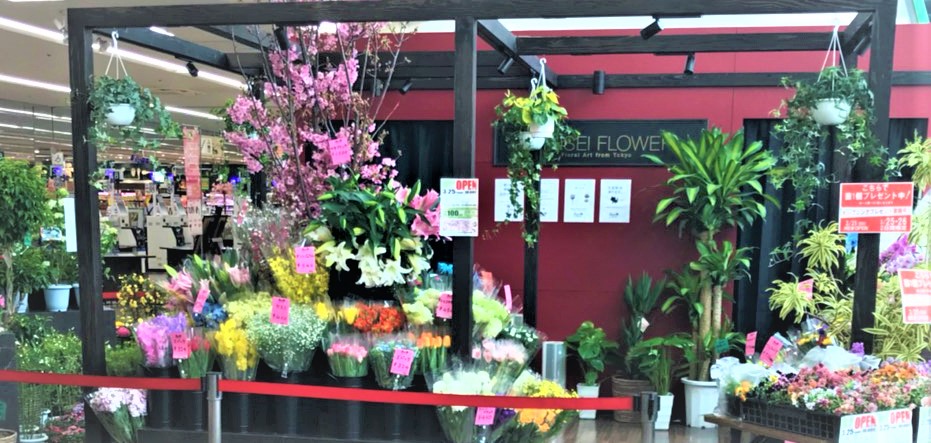 Shop Info Shinsei Flower Web Shop
