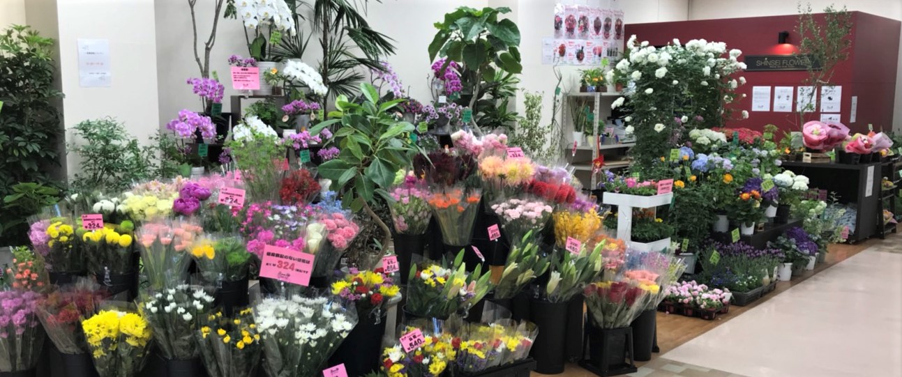Shop Info Shinsei Flower Web Shop